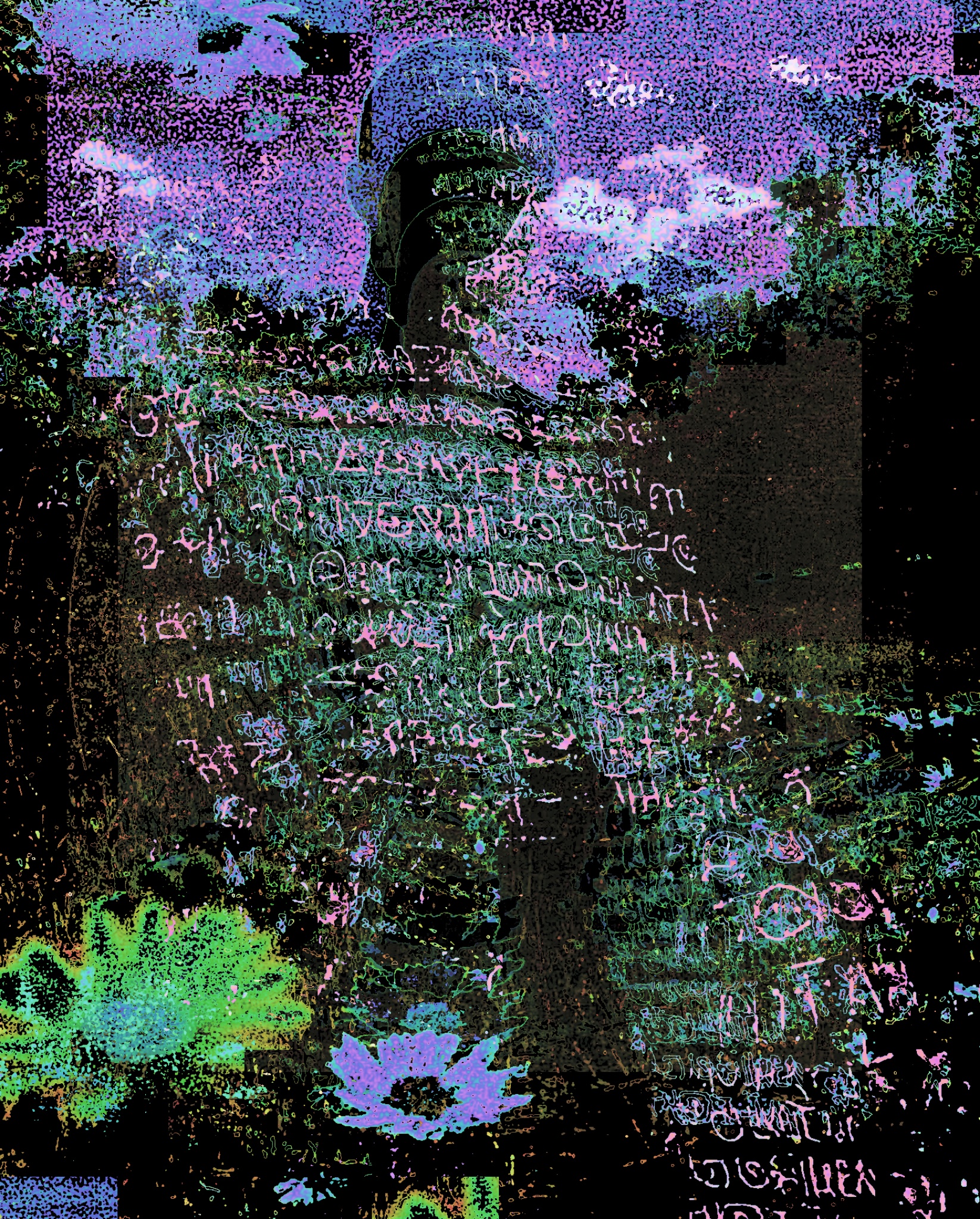 Language meditator glitch art