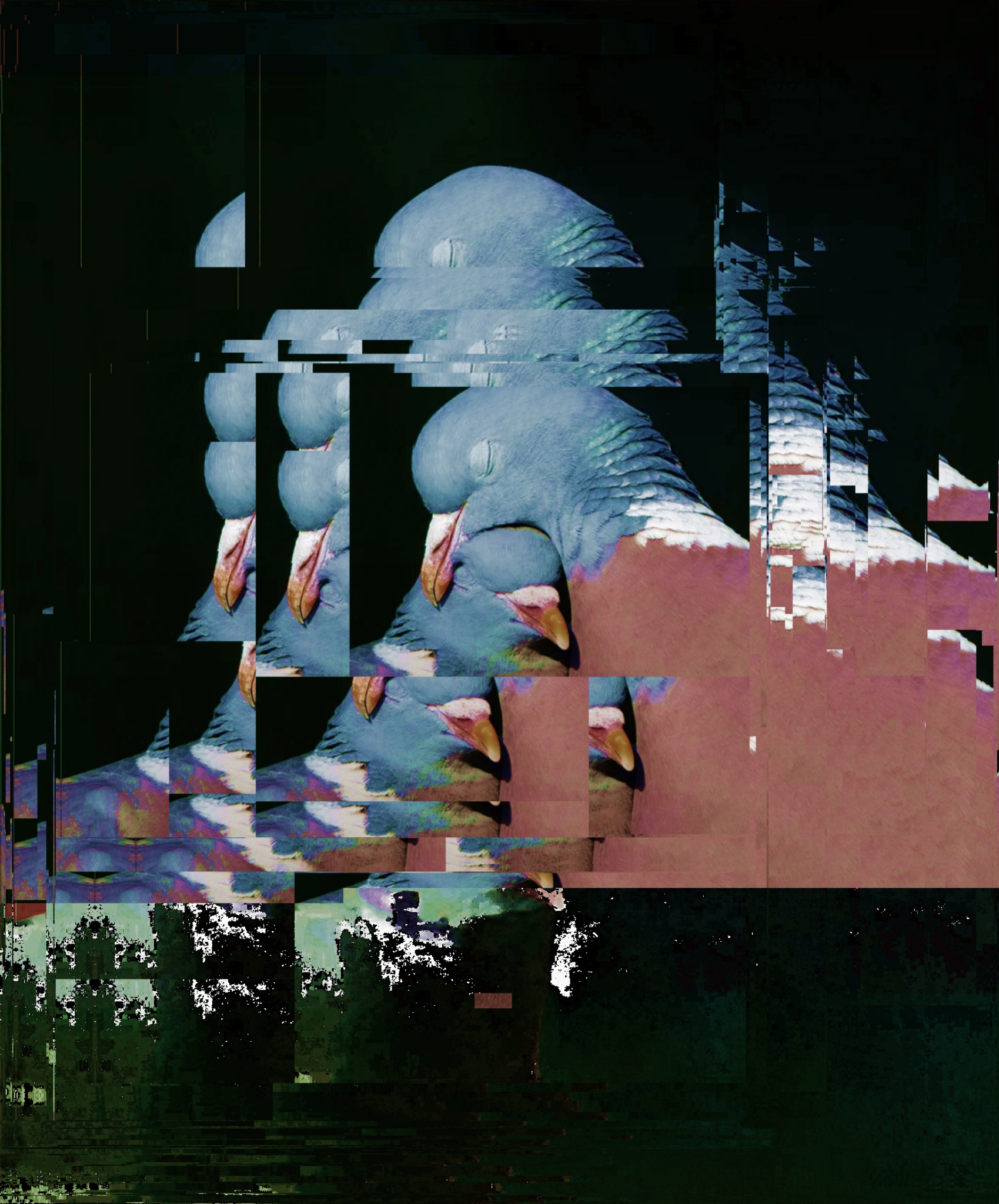 Lovebirds glitch art
